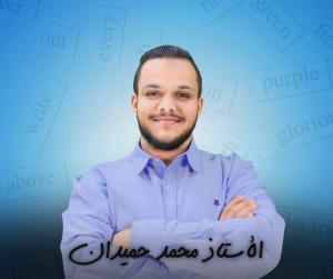 الأستاذ محمد حميدان