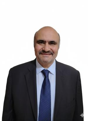 حبيب نمر الماضي