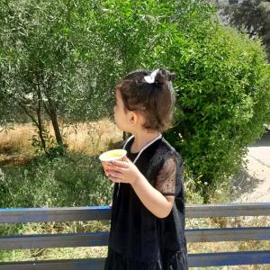 سندس محمود توفيق الحمران