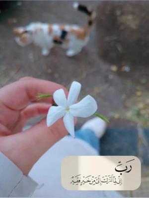 عرين زهير محمد الدرادكه