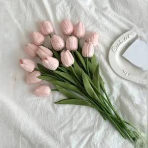 الاء اكرم بكر بدوبه