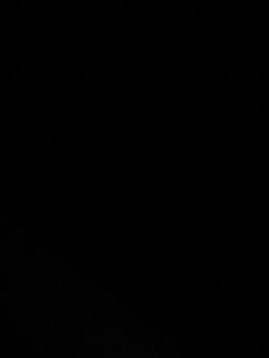 اسماء احمد يوسف شاهين