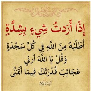 اماني جمال حسين صالح