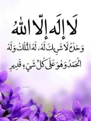 شفى عبد المهدي أحمد بدور